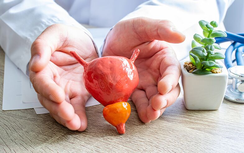 мъжка простата